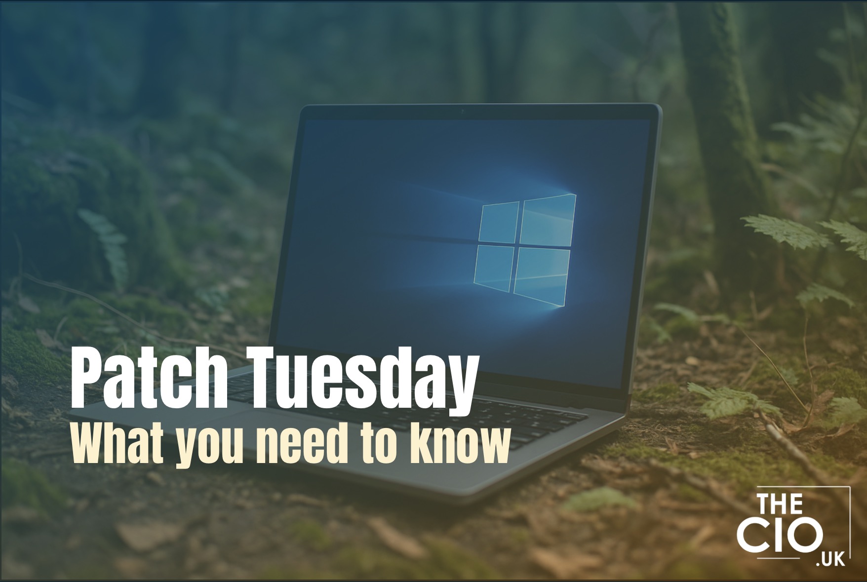 Patch Tuesday triage for 11 November